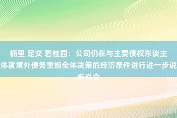 楠里 足交 碧桂园：公司仍在与主要债权东谈主团体就境外债务重组全体决策的经济条件进行进一步说合