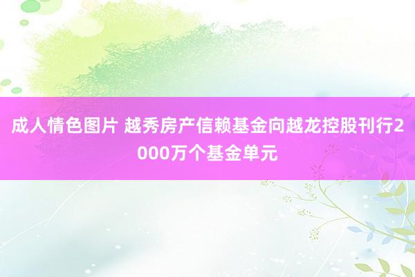 成人情色图片 越秀房产信赖基金向越龙控股刊行2000万个基金单元