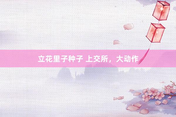 立花里子种子 上交所，大动作