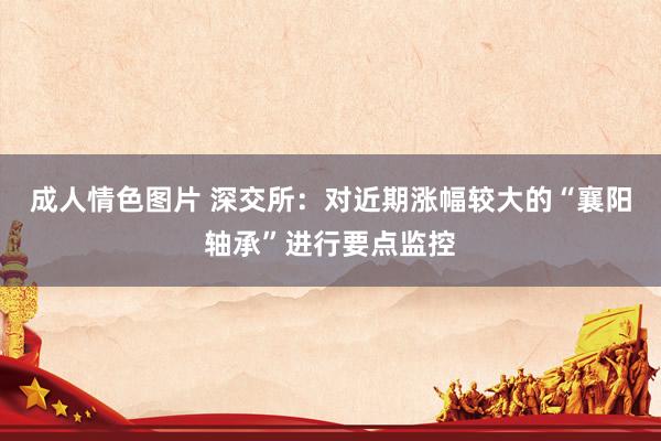 成人情色图片 深交所：对近期涨幅较大的“襄阳轴承”进行要点监控