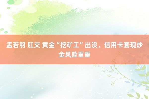 孟若羽 肛交 黄金“挖矿工”出没，信用卡套现炒金风险重重