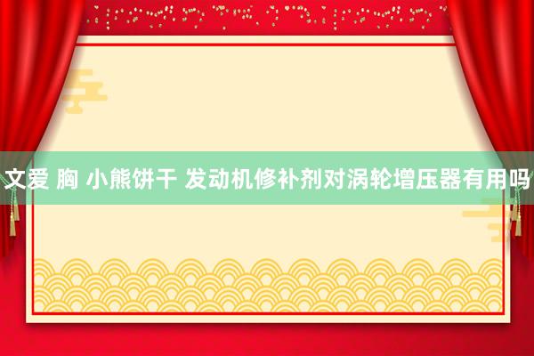 文爱 胸 小熊饼干 发动机修补剂对涡轮增压器有用吗