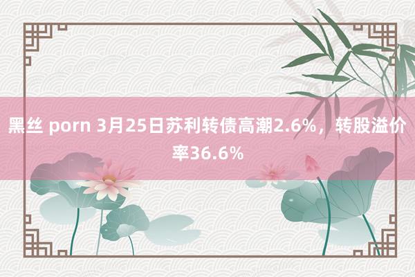 黑丝 porn 3月25日苏利转债高潮2.6%，转股溢价率36.6%