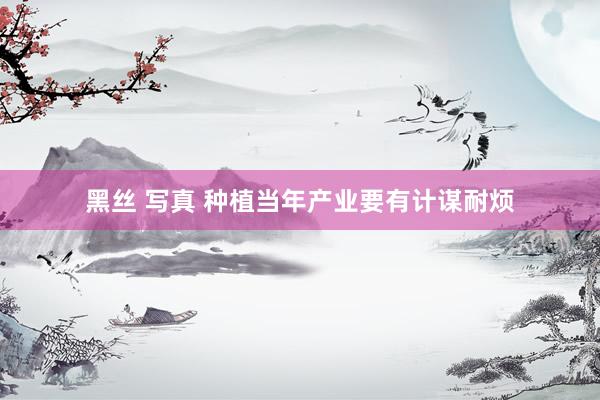 黑丝 写真 种植当年产业要有计谋耐烦
