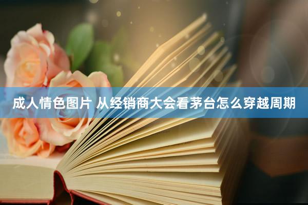 成人情色图片 从经销商大会看茅台怎么穿越周期