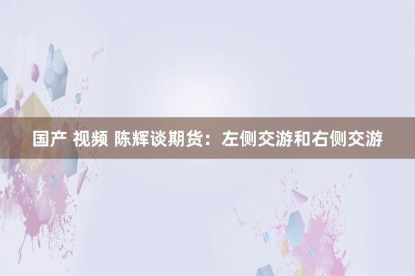 国产 视频 陈辉谈期货：左侧交游和右侧交游