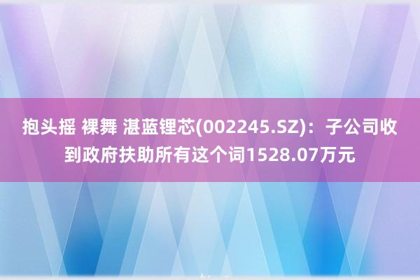 抱头摇 裸舞 湛蓝锂芯(002245.SZ)：子公司收到政府扶助所有这个词1528.07万元