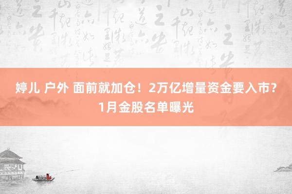 婷儿 户外 面前就加仓！2万亿增量资金要入市？1月金股名单曝光
