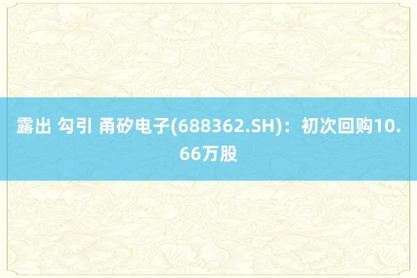 露出 勾引 甬矽电子(688362.SH)：初次回购10.66万股