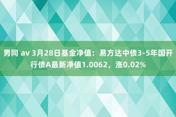男同 av 3月28日基金净值：易方达中债3-5年国开行债A最新净值1.0062，涨0.02%