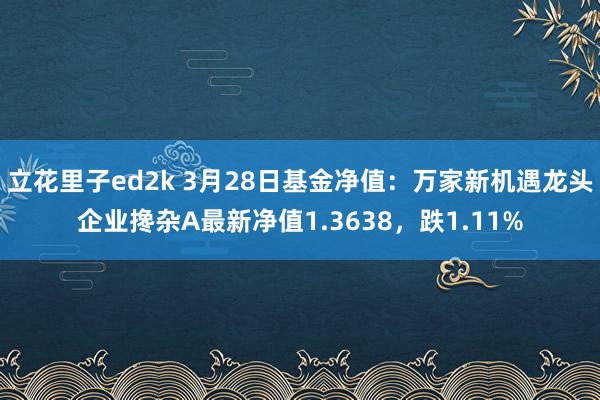 立花里子ed2k 3月28日基金净值：万家新机遇龙头企业搀杂A最新净值1.3638，跌1.11%
