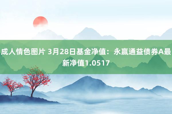 成人情色图片 3月28日基金净值：永赢通益债券A最新净值1.0517