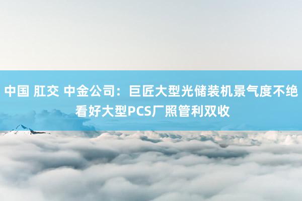 中国 肛交 中金公司：巨匠大型光储装机景气度不绝 看好大型PCS厂照管利双收