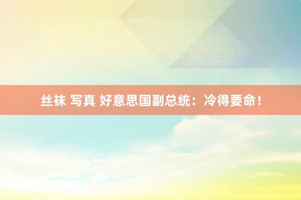 丝袜 写真 好意思国副总统：冷得要命！