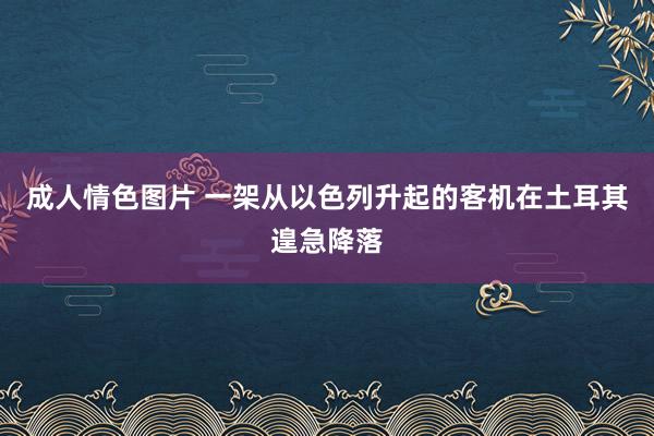 成人情色图片 一架从以色列升起的客机在土耳其遑急降落