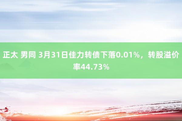正太 男同 3月31日佳力转债下落0.01%，转股溢价率44.73%