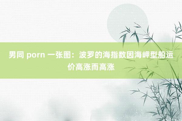 男同 porn 一张图：波罗的海指数因海岬型船运价高涨而高涨