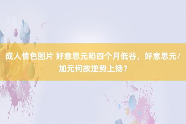 成人情色图片 好意思元陷四个月低谷，好意思元/加元何故逆势上扬？