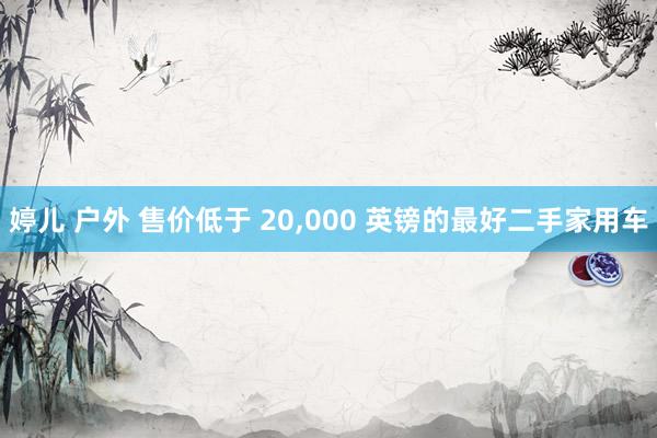 婷儿 户外 售价低于 20,000 英镑的最好二手家用车