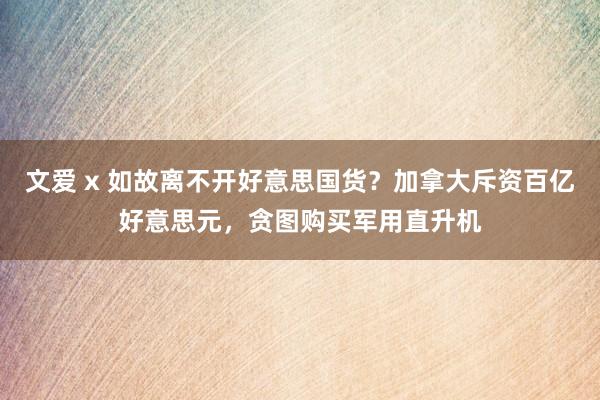 文爱 x 如故离不开好意思国货？加拿大斥资百亿好意思元，贪图购买军用直升机