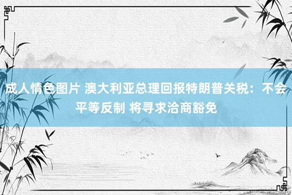 成人情色图片 澳大利亚总理回报特朗普关税：不会平等反制 将寻求洽商豁免