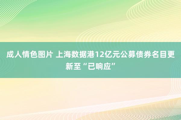 成人情色图片 上海数据港12亿元公募债券名目更新至“已响应”