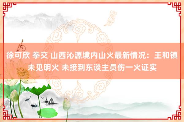 徐可欣 拳交 山西沁源境内山火最新情况：王和镇未见明火 未接到东谈主员伤一火证实