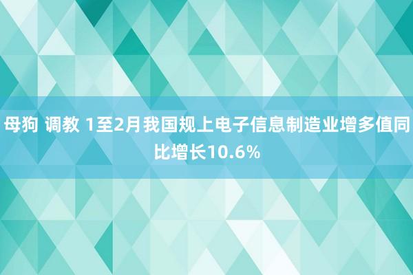 母狗 调教 1至2月我国规上电子信息制造业增多值同比增长10.6%