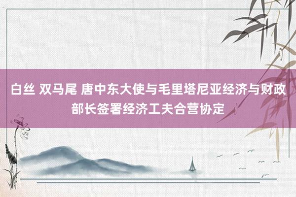白丝 双马尾 唐中东大使与毛里塔尼亚经济与财政部长签署经济工夫合营协定
