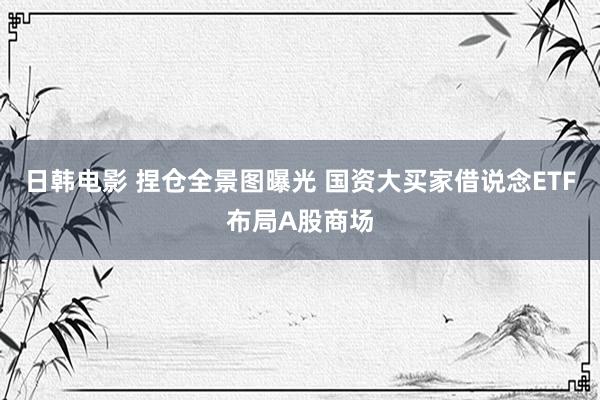 日韩电影 捏仓全景图曝光 国资大买家借说念ETF布局A股商场
