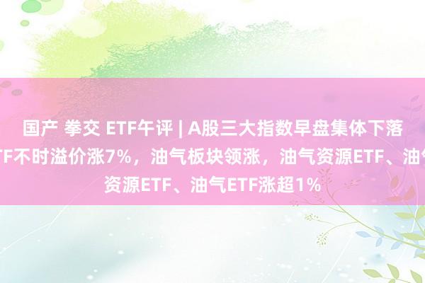 国产 拳交 ETF午评 | A股三大指数早盘集体下落，标普500ETF不时溢价涨7%，油气板块领涨，油气资源ETF、油气ETF涨超1%