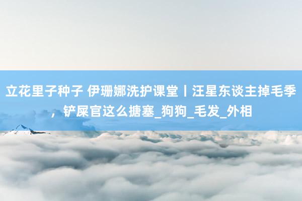 立花里子种子 伊珊娜洗护课堂丨汪星东谈主掉毛季，铲屎官这么搪塞_狗狗_毛发_外相