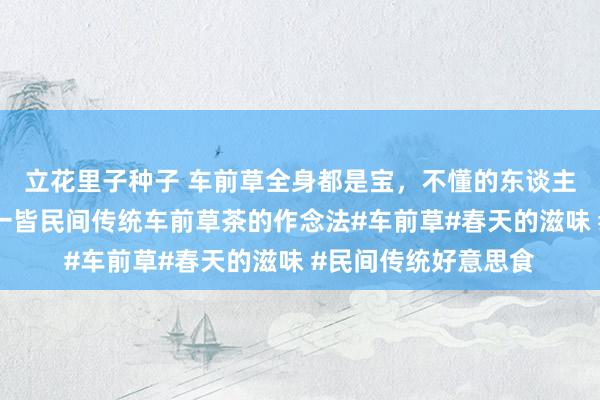 立花里子种子 车前草全身都是宝，不懂的东谈主当成草，今天共享一皆民间传统车前草茶的作念法#车前草#春天的滋味 #民间传统好意思食