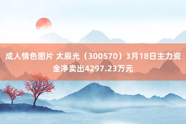 成人情色图片 太辰光（300570）3月18日主力资金净卖出4297.23万元