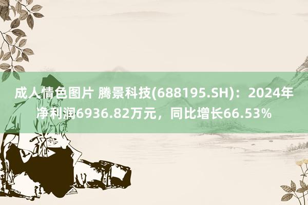 成人情色图片 腾景科技(688195.SH)：2024年净利润6936.82万元，同比增长66.53%