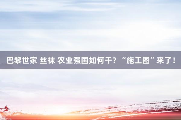 巴黎世家 丝袜 农业强国如何干？“施工图”来了！