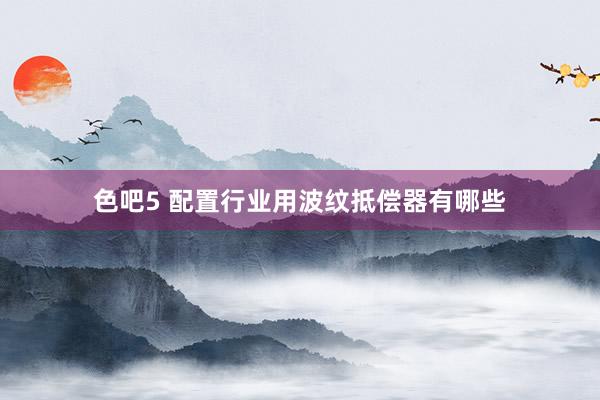 色吧5 配置行业用波纹抵偿器有哪些