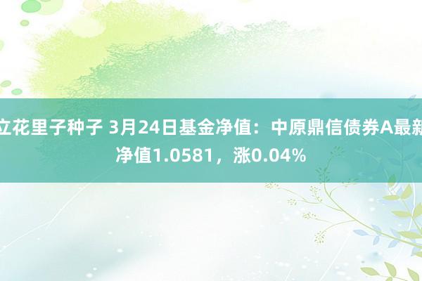 立花里子种子 3月24日基金净值：中原鼎信债券A最新净值1.0581，涨0.04%