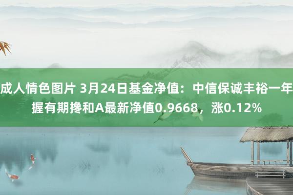 成人情色图片 3月24日基金净值：中信保诚丰裕一年握有期搀和A最新净值0.9668，涨0.12%