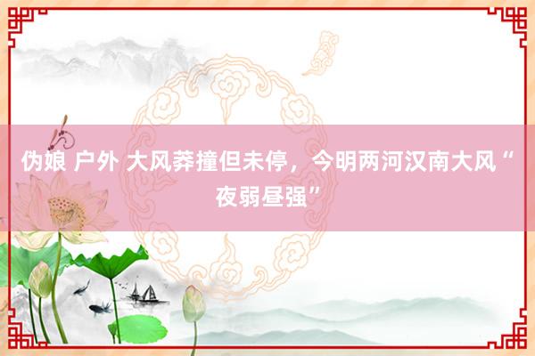 伪娘 户外 大风莽撞但未停，今明两河汉南大风“夜弱昼强”