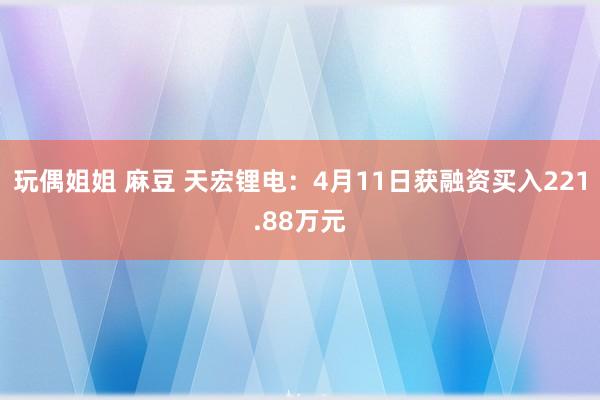 玩偶姐姐 麻豆 天宏锂电：4月11日获融资买入221.88万元