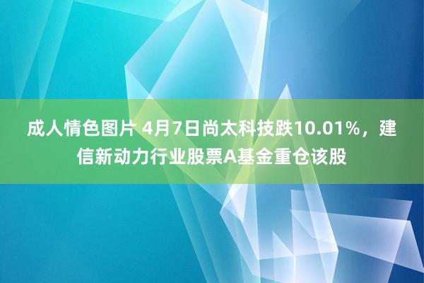 成人情色图片 4月7日尚太科技跌10.01%，建信新动力行业股票A基金重仓该股