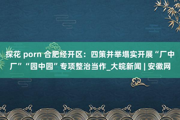 探花 porn 合肥经开区：四策并举塌实开展“厂中厂”“园中园”专项整治当作_大皖新闻 | 安徽网