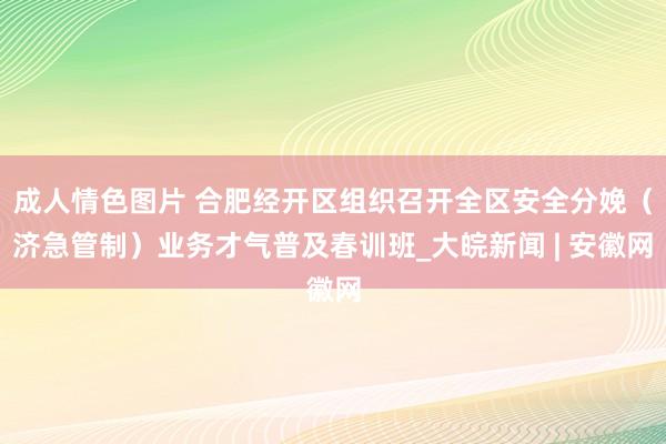 成人情色图片 合肥经开区组织召开全区安全分娩（济急管制）业务才气普及春训班_大皖新闻 | 安徽网