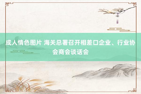 成人情色图片 海关总署召开相差口企业、行业协会商会谈话会