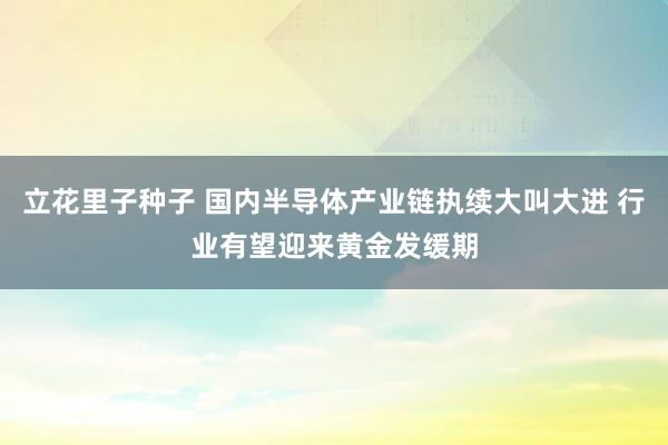 立花里子种子 国内半导体产业链执续大叫大进 行业有望迎来黄金发缓期