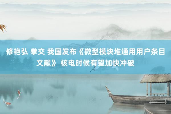 修艳弘 拳交 我国发布《微型模块堆通用用户条目文献》 核电时候有望加快冲破