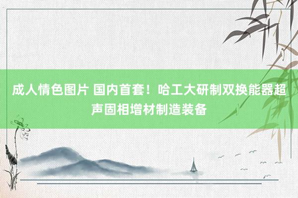 成人情色图片 国内首套！哈工大研制双换能器超声固相增材制造装备