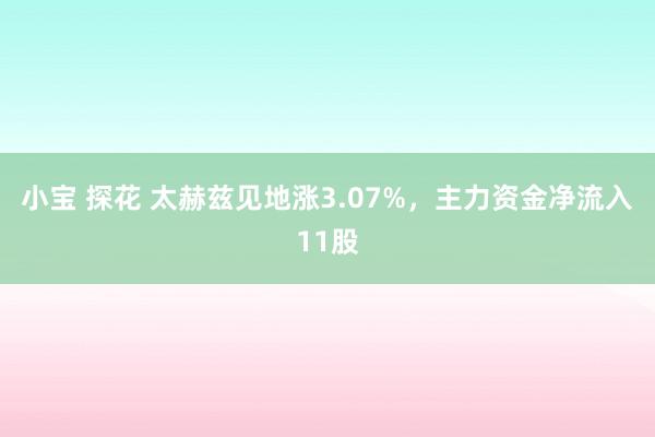 小宝 探花 太赫兹见地涨3.07%，主力资金净流入11股