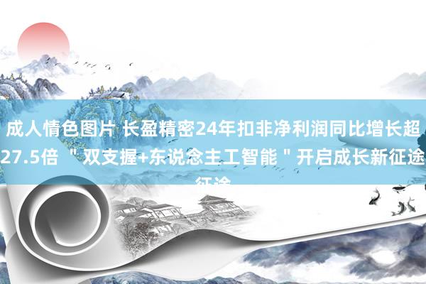成人情色图片 长盈精密24年扣非净利润同比增长超27.5倍 ＂双支握+东说念主工智能＂开启成长新征途